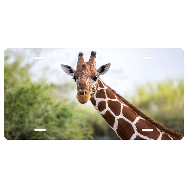 Personalized Custom Giraffe  Novelty Vanity Front License Plate - Jungle - decorative auto tag - Wall Decor - Sign - Animal -