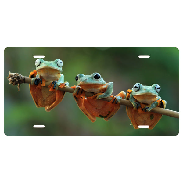 Personalized Custom 3 Frogs on Branch Novelty Vanity Front License Plate - Jungle - decorative auto tag - Wall Decor - Sign - Animal - Frog