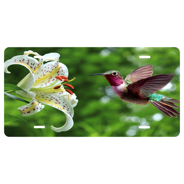 Personalized Custom Humming Bird Novelty Front License Plate - Avian - decorative auto tag - Wall Decor - Sign - Calming - Birds - Flower