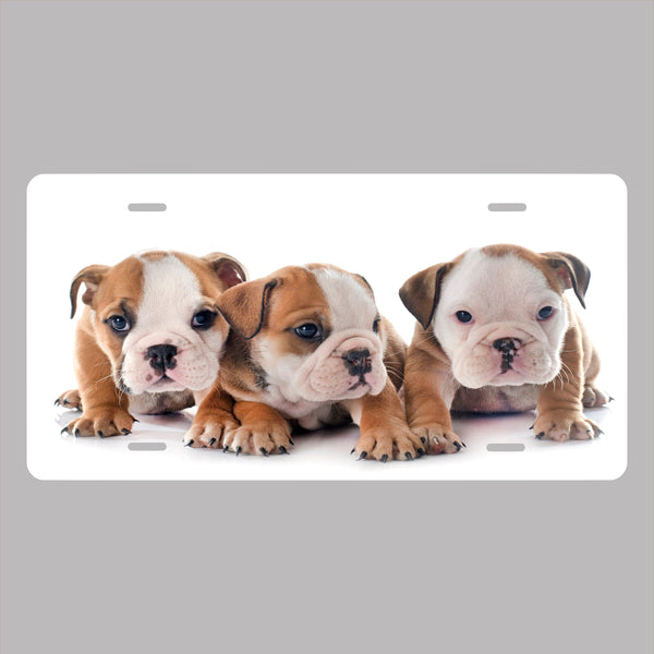 Personalized Custom Puppies Novelty Front License Plate - Funny - decorative auto tag - Wall Decor - Sign - Calming - Bulldog - Puppy - Dog