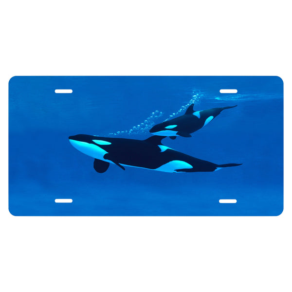 Personalized Custom Orcas Underwater Novelty Front License Plate - Fish - Ocean - decorative auto tag - Wall Decor - Sign - Room Art Sign -